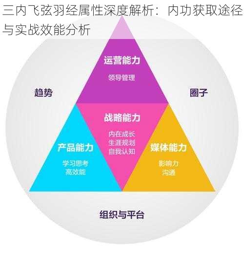 三内飞弦羽经属性深度解析：内功获取途径与实战效能分析