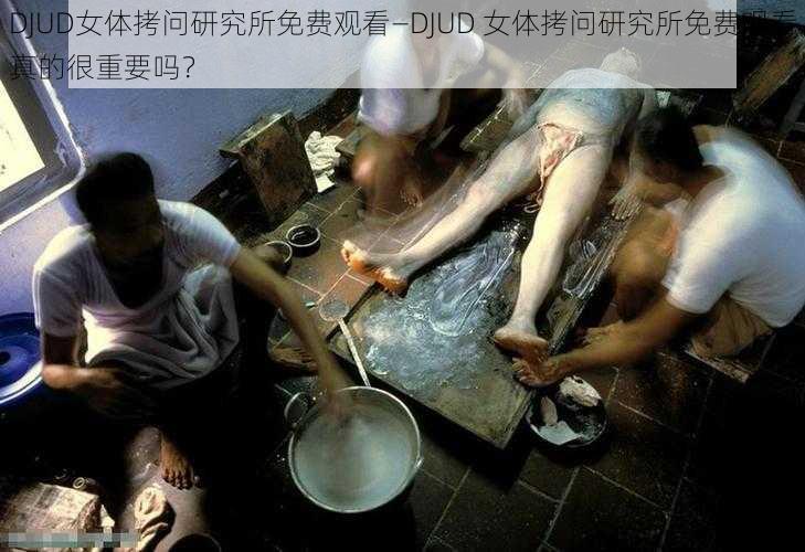 DJUD女体拷问研究所免费观看—DJUD 女体拷问研究所免费观看真的很重要吗？