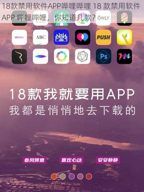 18款禁用软件APP哔哩哔哩 18 款禁用软件 APP 哔哩哔哩，你知道几款？