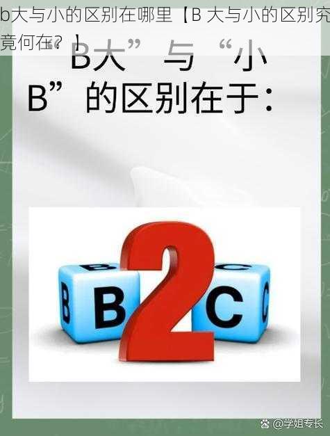 b大与小的区别在哪里【B 大与小的区别究竟何在？】