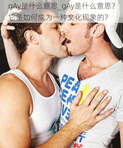 gAy是什么意思_gAy是什么意思？它是如何成为一种文化现象的？