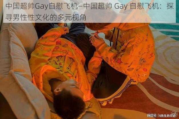 中国超帅Gay自慰飞机—中国超帅 Gay 自慰飞机：探寻男性性文化的多元视角