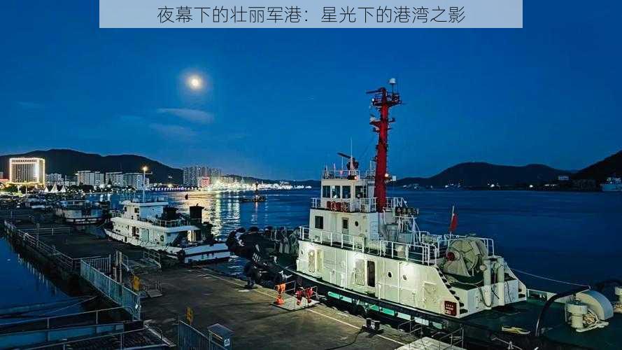 夜幕下的壮丽军港：星光下的港湾之影