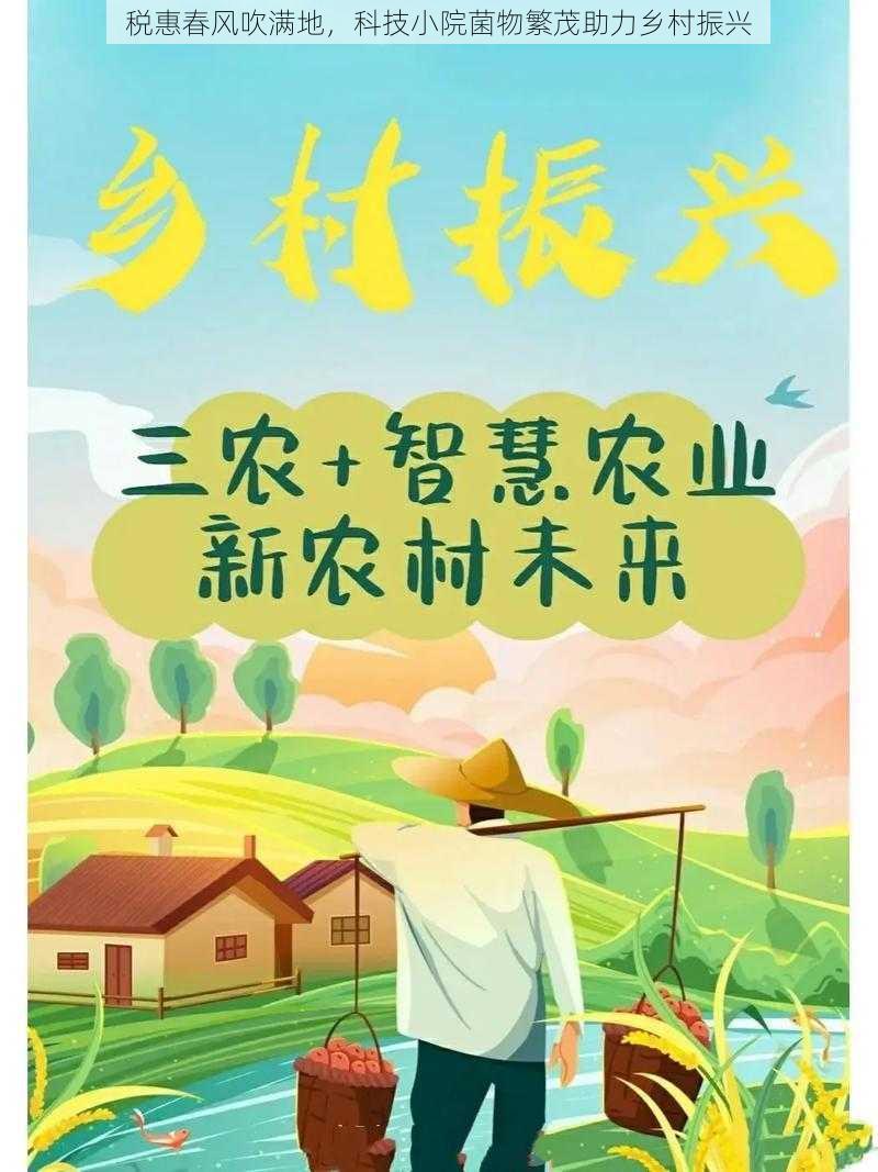 税惠春风吹满地，科技小院菌物繁茂助力乡村振兴