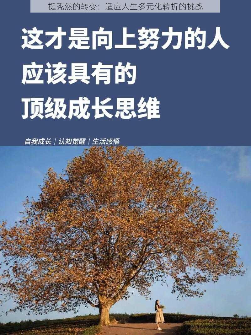 挺秃然的转变：适应人生多元化转折的挑战