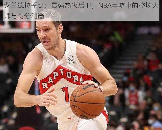 戈兰德拉季奇：最强热火后卫，NBA手游中的控场大师与得分利器