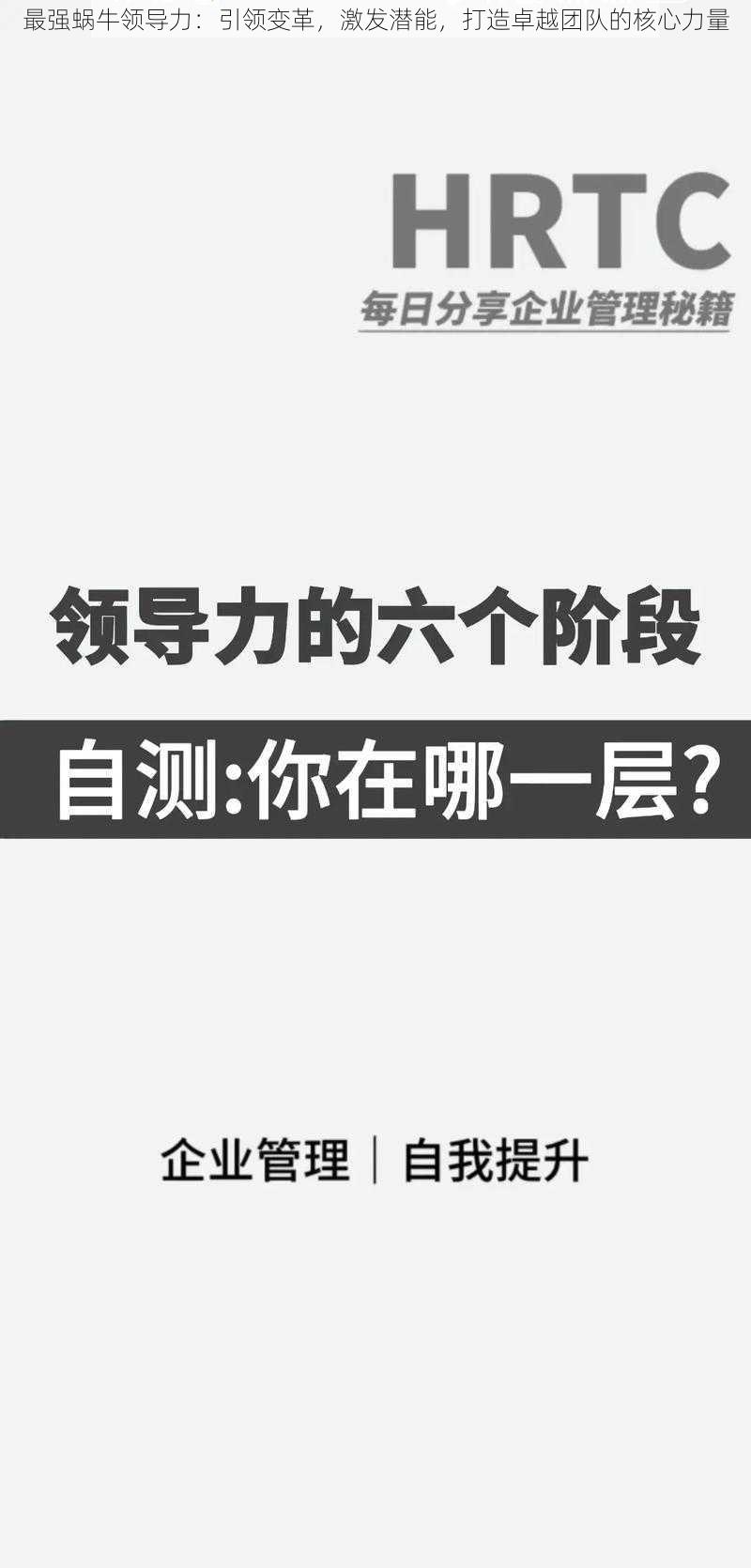 最强蜗牛领导力：引领变革，激发潜能，打造卓越团队的核心力量